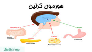 هورمون گرلین