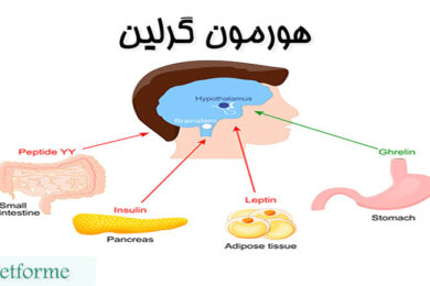 هورمون گرلین