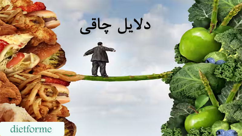 دلایل چاقی